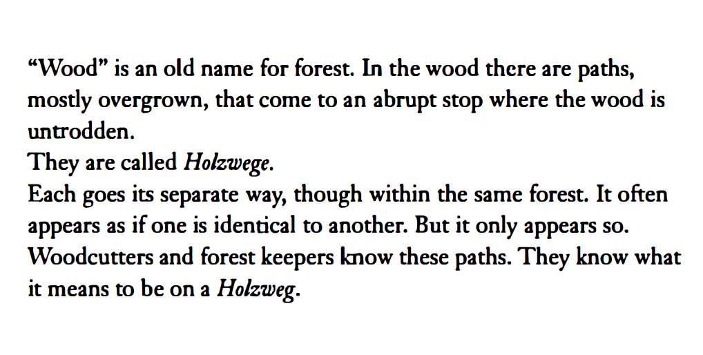 Holzwege excerpt